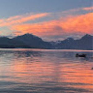 Meet your Posher, Ricky